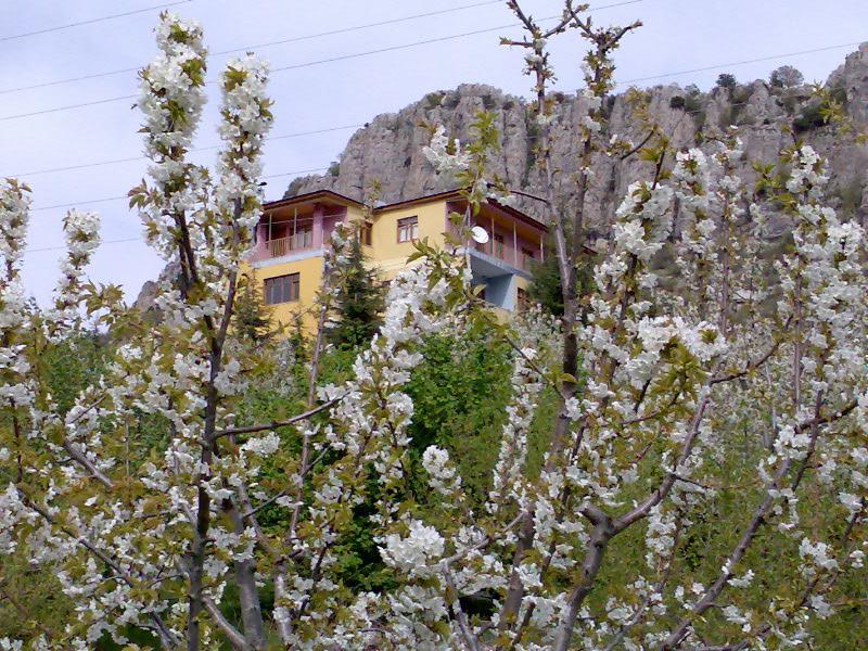 Aladag Dag Otel Dış mekan fotoğraf